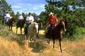 Cheyenne Trailriders Cheyenne Trailriders