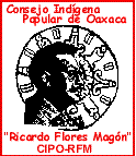  CIPO-Consejo Popular Indigena de Oaxaca
